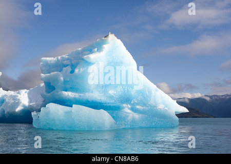 Stati Uniti, Alaska, guadi terrore Wilderness Area vicino a Juneau, Tracy Arm, iceberg, pezzo di ghiaccio Foto Stock