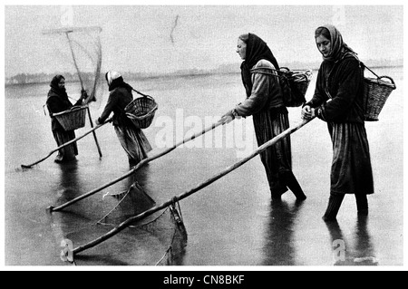 Pubblicato per la prima volta 1914 Normandia Shrimping reti Francia Foto Stock