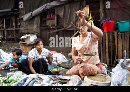 Una donna birmano vende pesce fresco in un mercato di strada per le strade di Rangoon (Yangon), Birmania (Myanmar) Foto Stock