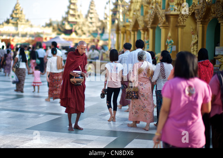 Un monaco birmano raccoglie alms nella Shwedagon Paya a Rangoon, Birmania Foto Stock