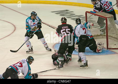 Luca Piggott, lieing sul ghiaccio, rigature Cardiff Devils terzo obiettivo assistita da Gerad Adams, 55 e Ben Davies, dietro l'obiettivo Foto Stock