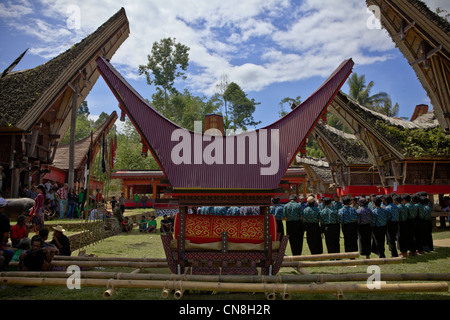 In Tana Toraja, il corpo è portato in una grande e pesante bara, Rantepao, Sulawesi, Indonesia, Pacifico Asia del Sud Foto Stock