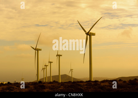 Eolicas de Lanzarote, SL. La generazione di energia eolica in alto sulla cresta a nord ovest di isola tra Teguise e Haria. Foto Stock