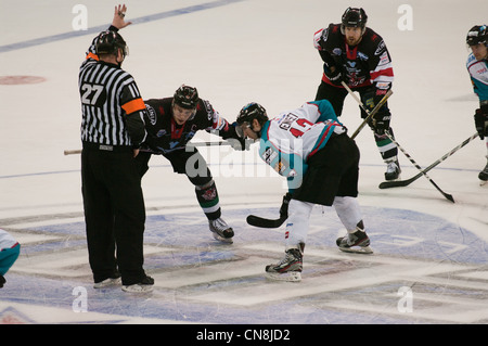 Arbitro Michael Hicks preparando per far cadere il puck all'inizio delle ore di lavoro straordinario Foto Stock