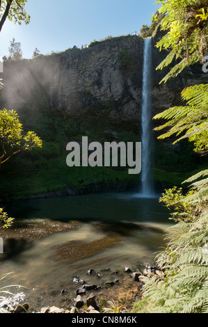 Bridal Veil Falls, Waikato, Isola del nord, Nuova Zelanda Foto Stock