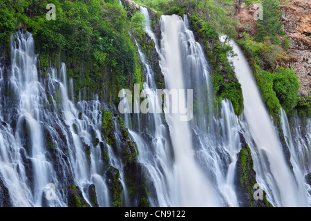 Presto la luce del mattino al McArthur-Burney Falls, Shasta foresta nazionale, CALIFORNIA, STATI UNITI D'AMERICA Foto Stock