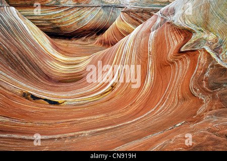 Colori spettacolari di arenaria in modelli ondulati in onda nell'Arizona Nord Coyote Buttes e Vermillion Cliffs. Foto Stock