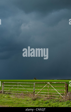 Stormy pioggia nuvole sopra un sole illuminato Campo di grano nella campagna inglese Foto Stock