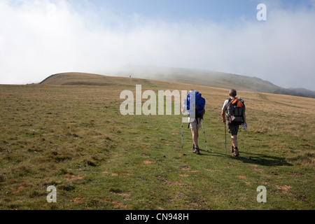 Francia, Pirenei Atlantiques, Saint Jean Pied de Port, escursionisti sulla GR10 modo alla sommità del picco Occabe Foto Stock