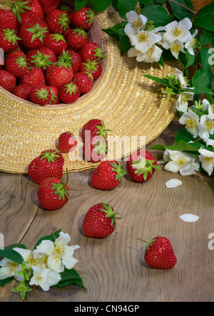 Vaclav Havel su open bar "Ve tme' Foto Stock