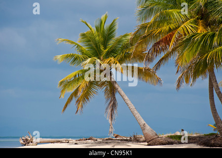 Panama, San Blas arcipelago, Kuna Yala territorio autonomo, Ailigandi isola, una delle 378 isole Foto Stock