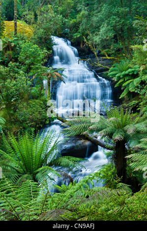 Australia, Victoria, Great Ocean Road, Great Otway National Park, conche Hill, tripletto cade Foto Stock