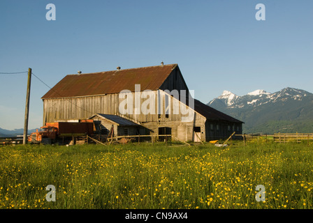 Fienile vicino Chiliwack, Colombia britannica, Canada Foto Stock