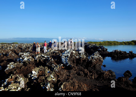 Ecuador Isole Galapagos, classificato come patrimonio mondiale dall' UNESCO, Isabela Island, Puerto Villamil, Tintoreras isola, turisti Foto Stock