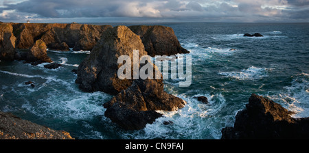 Francia, Morbihan, Belle Ile en mer, Port Coton, costa selvaggia, gli aghi di Port Coton Foto Stock