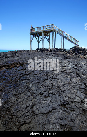 Ecuador Isole Galapagos, classificato come patrimonio mondiale dall' UNESCO, Isabela Island, Puerto Villamil Foto Stock