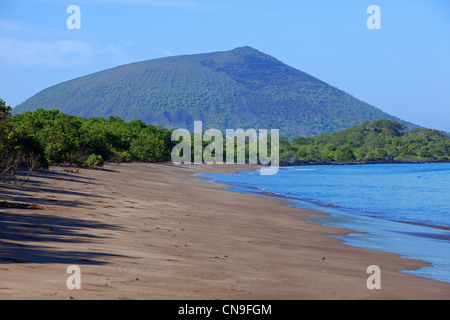 Ecuador Isole Galapagos, elencati come Patrimonio Mondiale dell'UNESCO, isola di Santiago, Espumilla Beach Foto Stock