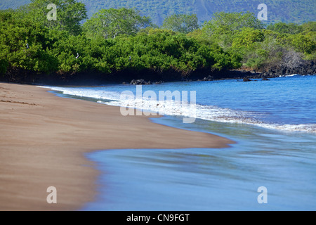 Ecuador Isole Galapagos, elencati come Patrimonio Mondiale dell'UNESCO, isola di Santiago, Espumilla Beach Foto Stock