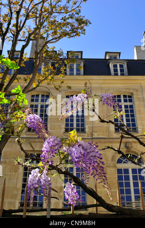 Francia, Parigi, edificio confinante con la Maison Européenne de la Photographi Foto Stock