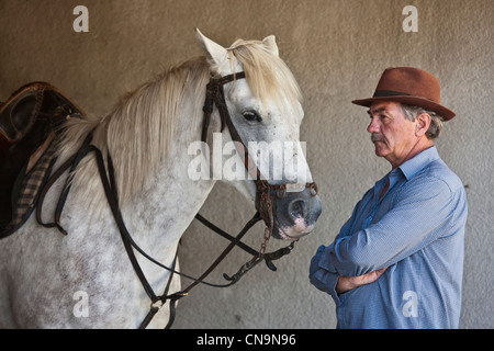 Francia, Bouches du Rhone, Le Sambuc, custode e cavalli Camargue per la mandria di colore bianco Foto Stock