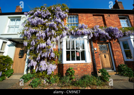 Città cottages con il glicine che crescono su di essi. Buckingham High Street, Bucks Foto Stock