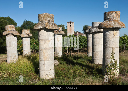 Francia, Gers, vicino a Montreal, Tour de Lamothe, torre di difesa della tredicesima e i pilastri di pietra di un antico colombaia in Foto Stock