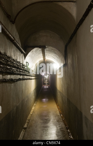 Francia, Ardenne, Villy La Ferte, fort della linea Maginot, metropolitana Foto Stock