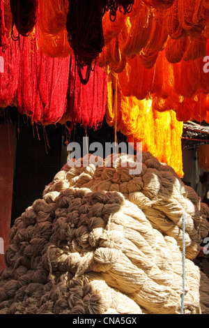 Tinti di fresco di lana di colore rosso si asciuga su non tinta rotoli di lana per i tintori Souk della Medina, Marrakech, Marocco, Africa del nord Foto Stock