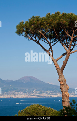 L'Italia, Campania, Napoli, vista sulla baia e sul Vesuvio dal quartiere di Mergellina Foto Stock