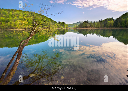 Uno dei minerali di Plitvice laghi di acqua . Laghi di Plitvice ( Plitvička ) Lakes National Park, Croazia. Un sito Patrimonio Mondiale dell'UNESCO Foto Stock