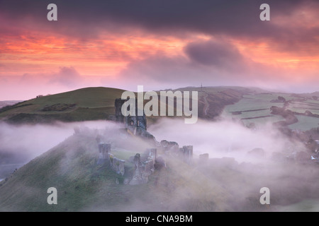 Le rovine di Corfe Castle Rising attraverso la nebbia di mattina Foto Stock