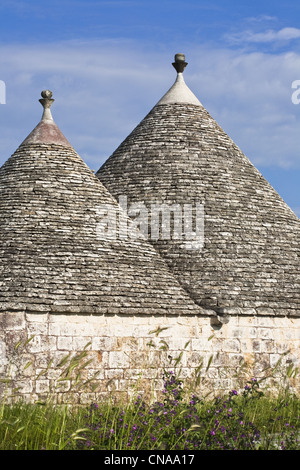 Italia Puglia Provincia di Bari, Alberobello, Trulli borrough (secco vecchi edifici in pietra con tetto in ardesia), elencato come Wolrd Heritage Foto Stock