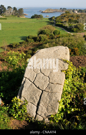 Francia, Cotes d'Armor, Brehat island, granito monoblocco incrinato da erosione, Brehatine campagna, l'imboccatura del porto di corda Foto Stock