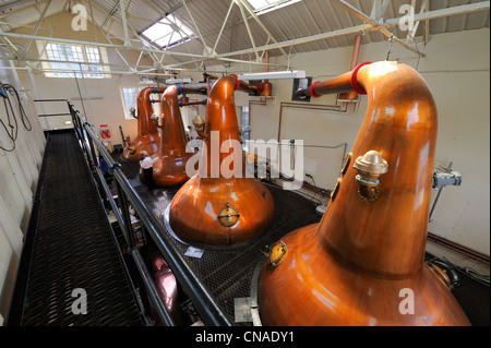 Regno Unito, Scozia, isole Orcadi, Kirkwall, Highland Park Whisky Distillery, lavare la distillazione in alambicchi di pentola di rame Foto Stock