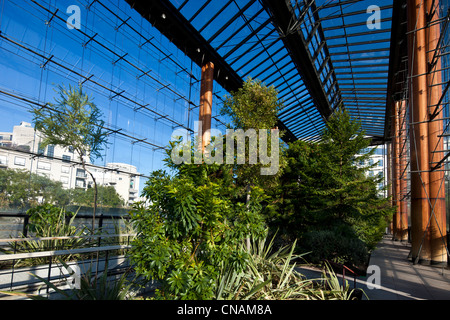 Francia, Parigi, Andre Citroen park, serra di clima mediterraneo del sud Foto Stock