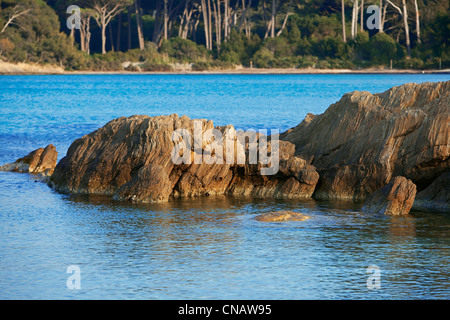 Francia, Var, IIles d'Hyeres, Parco Nazionale di Port Cros, Ile de Porquerolles, Plage d'Argent (Silver Beach) Foto Stock