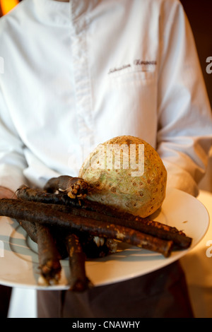 Francia, Var, Lorgues, Chateau de Berne, menzione obbligatoria, L'Orangeraie Ristorante Foto Stock