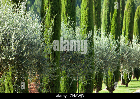 Francia, Var, Lorgues, Chateau de Berne, menzione obbligatoria Foto Stock