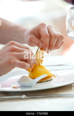 Francia, Var, Lorgues, Chateau de Berne, menzione obbligatoria, L'Orangeraie Ristorante cupola che combina i sapori esotici della Foto Stock