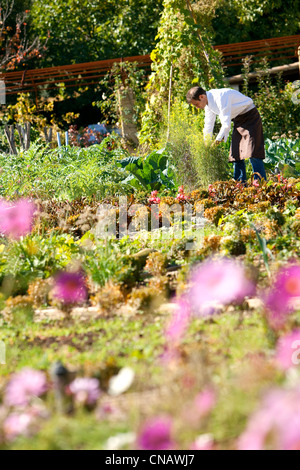 Francia, Var, Lorgues, Chateau de Berne, menzione obbligatoria, Chef Sebastien Nouveau, il giardino vegetale Foto Stock