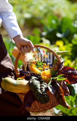 Francia, Var, Lorgues, Chateau de Berne, menzione obbligatoria, l'orto Foto Stock