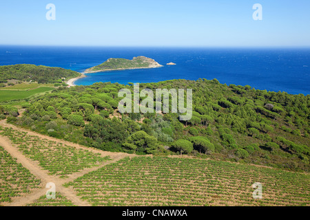 Francia, Var, Ramatuelle, Saint Tropez peninsula, Cap Taillat (vista aerea) Foto Stock