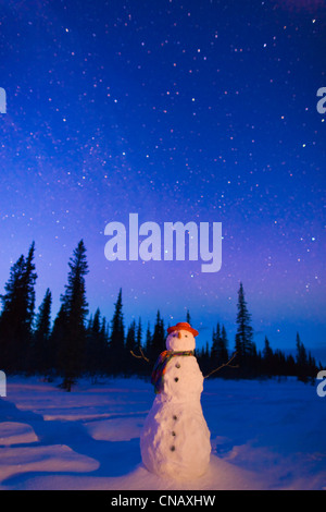 Composito, pupazzo di neve in piedi in un campo al crepuscolo, inverno, ampia Pass, parchi Autostrada,centromeridionale Alaska Foto Stock