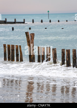 Pennelli che sono utilizzati come un mare di difesa a ridurre erosione visto qui in spiaggia West Wittering ,West Sussex a Spring Tide Foto Stock