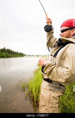 Pescatore a mosca per la pesca del salmone sul fiume Mulchatna in Bristol Bay Area, Southwest Alaska, estate Foto Stock