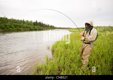 Fly fisherman indossare la protezione di zanzara di pesci per il salmone sul fiume Mulchatna in Bristol Bay Area, Alaska Foto Stock