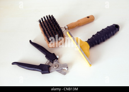 Selezione di toelettatura cani di strumenti tra cui il tagliaunghie, cane spazzola e spazzola di alleggerimento di prendere contro uno sfondo semplice Foto Stock