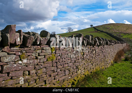 Pietra arenaria rossa secco muro di pietra nel Parco Nazionale di Brecon Beacons Galles Foto Stock