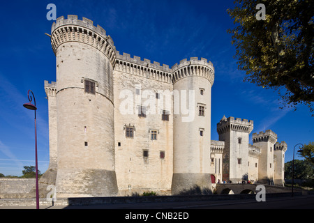 Francia, Bouches du Rhone, Alpilles, Tarascon, Chateau du Roi René (Re di Rene) castello del XIV-XV secolo Foto Stock