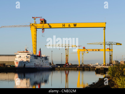 Sansone e Golia, il famoso Harland e Wolff gru, Belfast Foto Stock